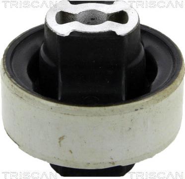 Triscan 8500 15819 - Supporto, Braccio oscillante autozon.pro