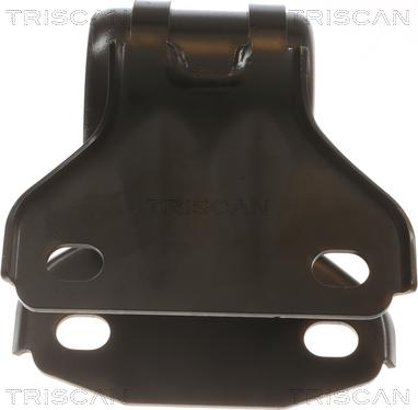 Triscan 8500 16893 - Supporto, Braccio oscillante autozon.pro