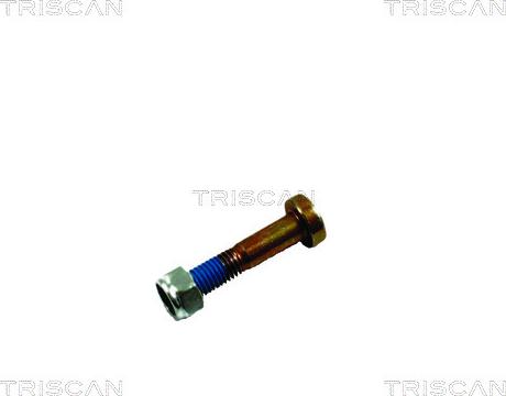 Triscan 8500 16861 - Kit montaggio, Braccio oscillante autozon.pro