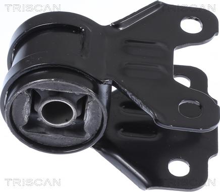 Triscan 8500 16881 - Supporto, Braccio oscillante autozon.pro