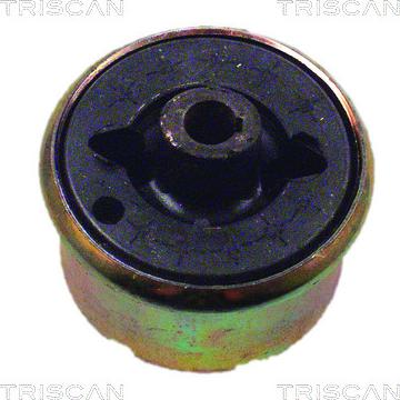 Triscan 8500 16820 - Supporto, Braccio oscillante autozon.pro