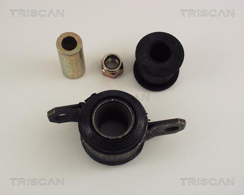 Triscan 8500 10806 - Supporto, Braccio oscillante autozon.pro