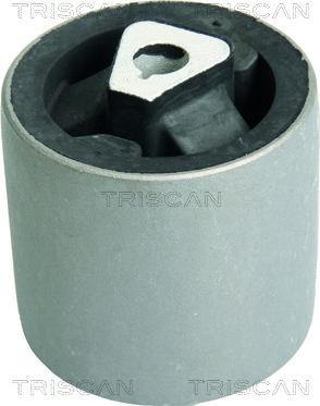 Triscan 8500 11845 - Supporto, Braccio oscillante autozon.pro