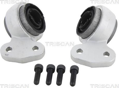 Triscan 8500 11829 - Supporto, Braccio oscillante autozon.pro