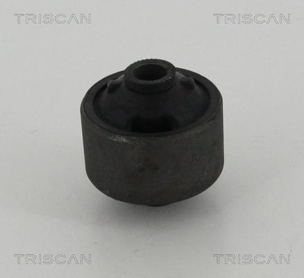 Triscan 8500 13849 - Supporto, Braccio oscillante autozon.pro