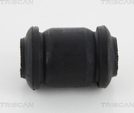 Triscan 8500 13818 - Supporto, Braccio oscillante autozon.pro