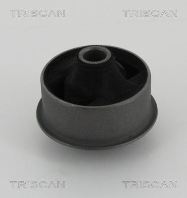 Triscan 8500 13834 - Supporto, Braccio oscillante autozon.pro