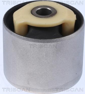 Triscan 8500 17810 - Supporto, Braccio oscillante autozon.pro