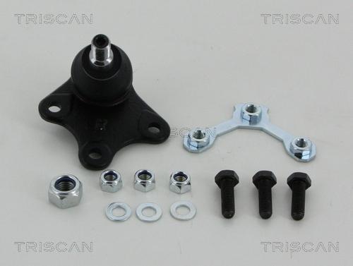 Triscan 8500 29563 - Giunto di supporto / guida autozon.pro