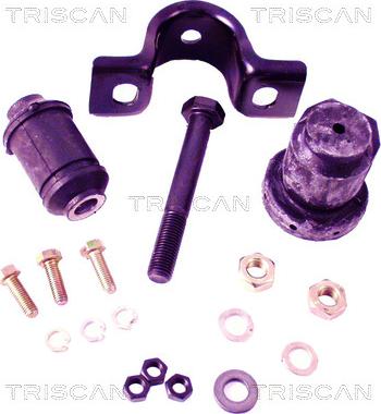 Triscan 8500 29020 - Kit montaggio, Braccio oscillante autozon.pro