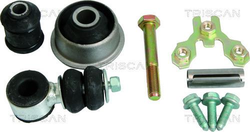 Triscan 8500 29023 - Kit montaggio, Braccio oscillante autozon.pro