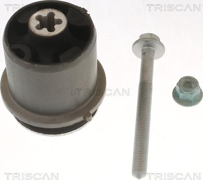 Triscan 8500 298077 - Supporto, Corpo assiale autozon.pro