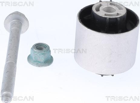 Triscan 8500 29889 - Supporto, Braccio oscillante autozon.pro