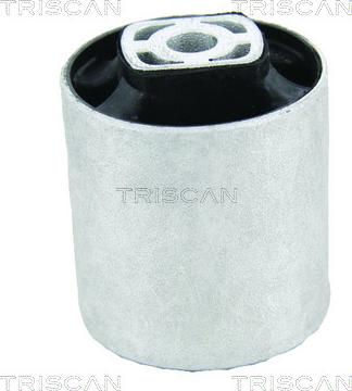 Triscan 8500 29884 - Supporto, Braccio oscillante autozon.pro