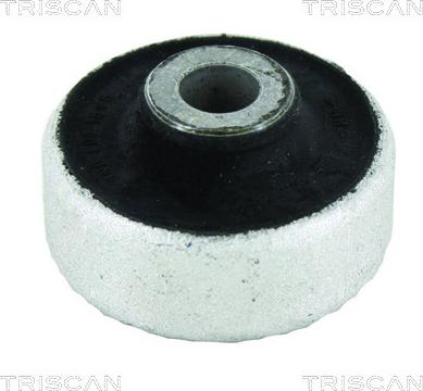 Triscan 8500 29881 - Supporto, Braccio oscillante autozon.pro