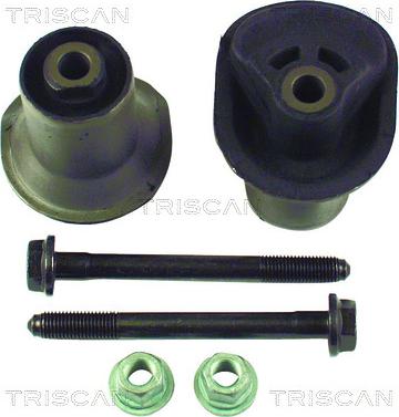 Triscan 8500 29829 - Supporto, Corpo assiale autozon.pro