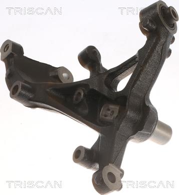 Triscan 8500 29723 - Fuso a snodo, Sospensione ruota autozon.pro