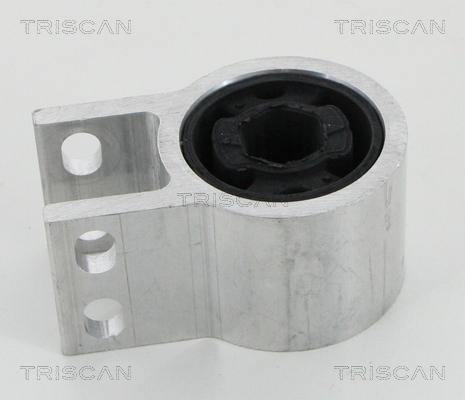 Triscan 8500 24844 - Supporto, Braccio oscillante autozon.pro