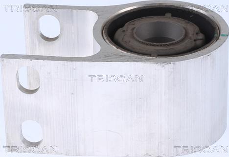 Triscan 8500 24889 - Supporto, Braccio oscillante autozon.pro