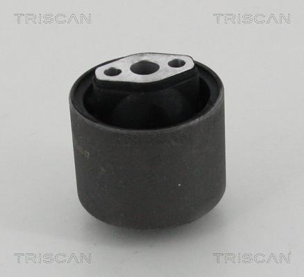 Triscan 8500 24881 - Supporto, Braccio oscillante autozon.pro