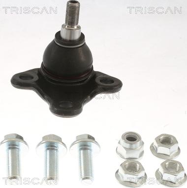 Triscan 8500 255009 - Giunto di supporto / guida autozon.pro