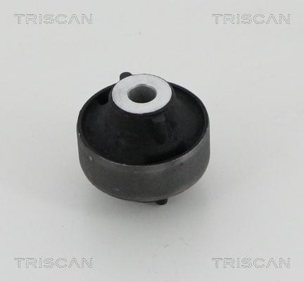 Triscan 8500 25862 - Supporto, Braccio oscillante autozon.pro