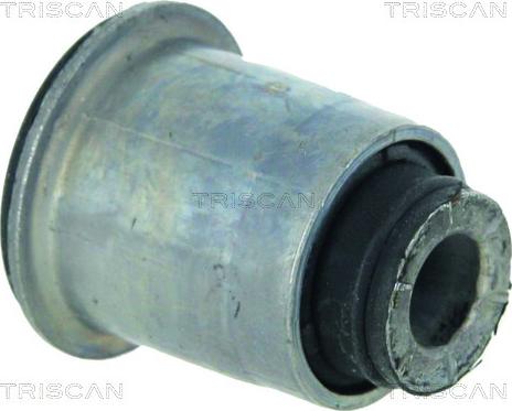 Triscan 8500 25816 - Supporto, Braccio oscillante autozon.pro