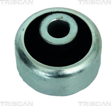 Triscan 8500 25811 - Supporto, Braccio oscillante autozon.pro