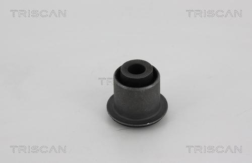 Triscan 8500 25823 - Supporto, Braccio oscillante autozon.pro