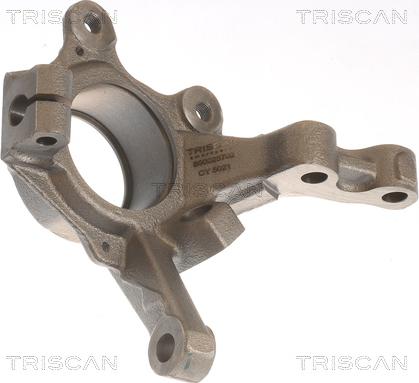 Triscan 8500 25702 - Fuso a snodo, Sospensione ruota autozon.pro