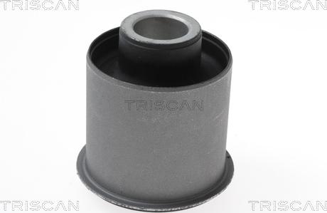 Triscan 8500 21811 - Supporto, Corpo assiale autozon.pro