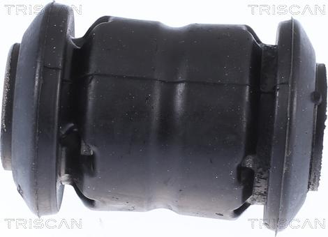 Triscan 8500 21813 - Supporto, Braccio oscillante autozon.pro