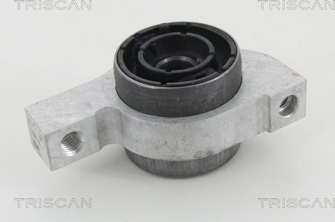 Triscan 8500 28841 - Supporto, Braccio oscillante autozon.pro