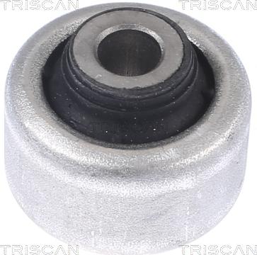 Triscan 8500 28885 - Supporto, Braccio oscillante autozon.pro