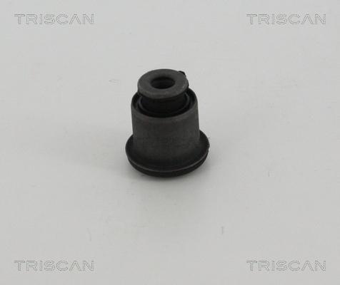 Triscan 8500 28873 - Supporto, Braccio oscillante autozon.pro