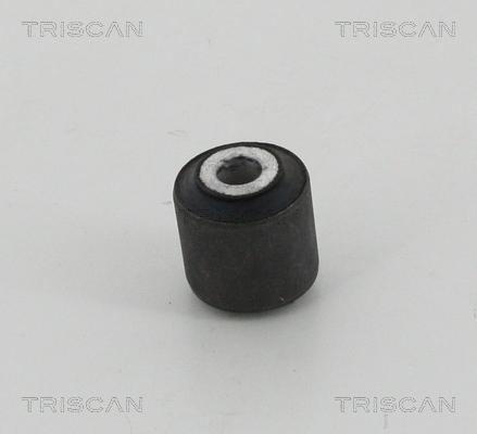 Triscan 8500 23844 - Supporto, Braccio oscillante autozon.pro