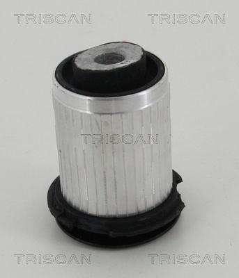 Triscan 8500 23842 - Supporto, Braccio oscillante autozon.pro