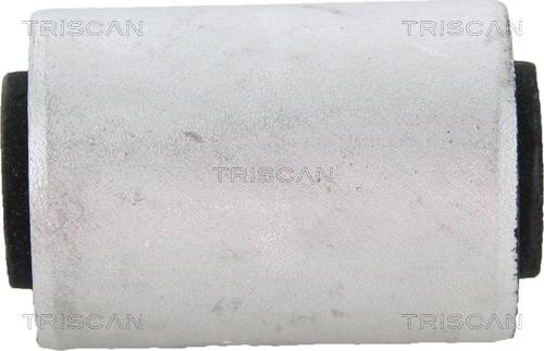 Triscan 8500 23869 - Supporto, Braccio oscillante autozon.pro