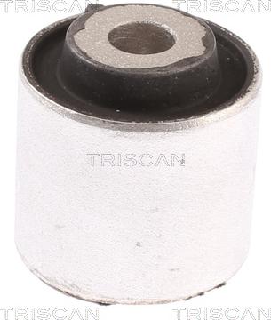 Triscan 8500 23832 - Supporto, Braccio oscillante autozon.pro