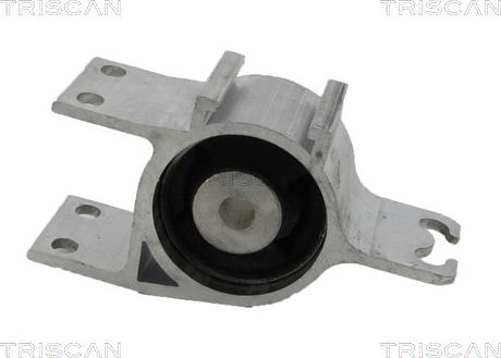 Triscan 8500 23829 - Supporto, Braccio oscillante autozon.pro