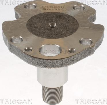 Triscan 8535 29014 - Mozzo ruota autozon.pro