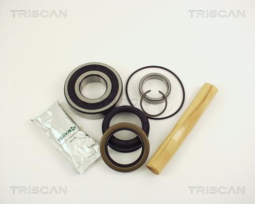 Triscan 8530 10229 - Kit cuscinetto ruota autozon.pro