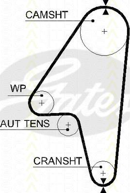 Triscan 8645 5597xs - Cinghia dentata autozon.pro