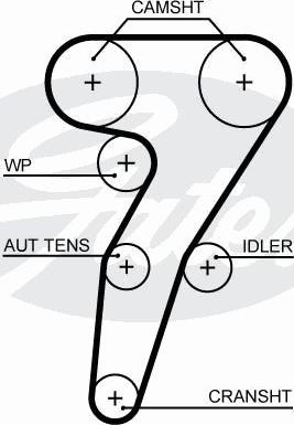 Triscan 8645 5653xs - Cinghia dentata autozon.pro