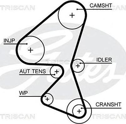 Triscan 8645 5657xs - Cinghia dentata autozon.pro