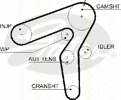 Triscan 8645 5600xs - Cinghia dentata autozon.pro