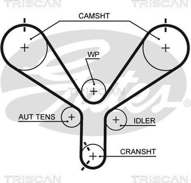 Triscan 8645 t190 - Cinghia dentata autozon.pro
