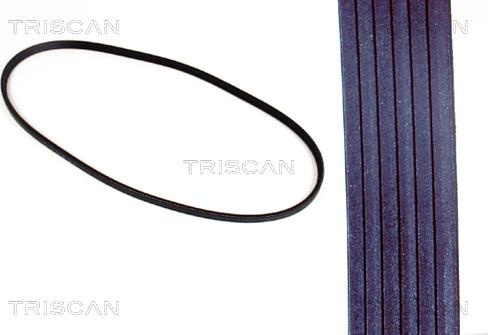 Triscan 8640 600925 - Cinghia Poly-V autozon.pro