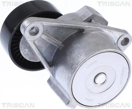 Triscan 8641 103010 - Tendicinghia, Cinghia Poly-V autozon.pro