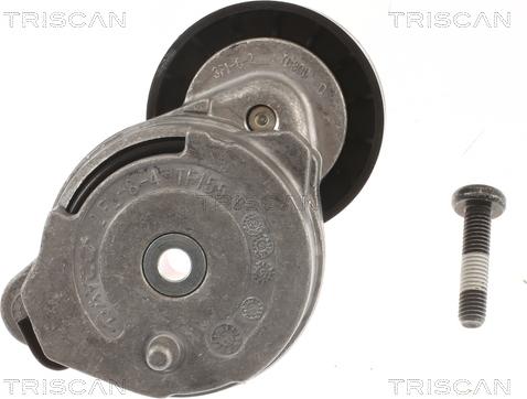 Triscan 8641 273005 - Tendicinghia, Cinghia Poly-V autozon.pro